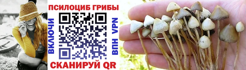 Псилоцибиновые грибы мухоморы  Крымск 